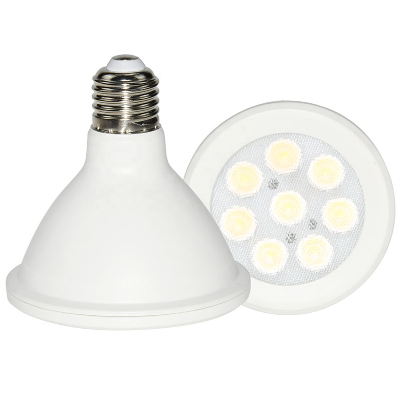 ampoules LED PAR38